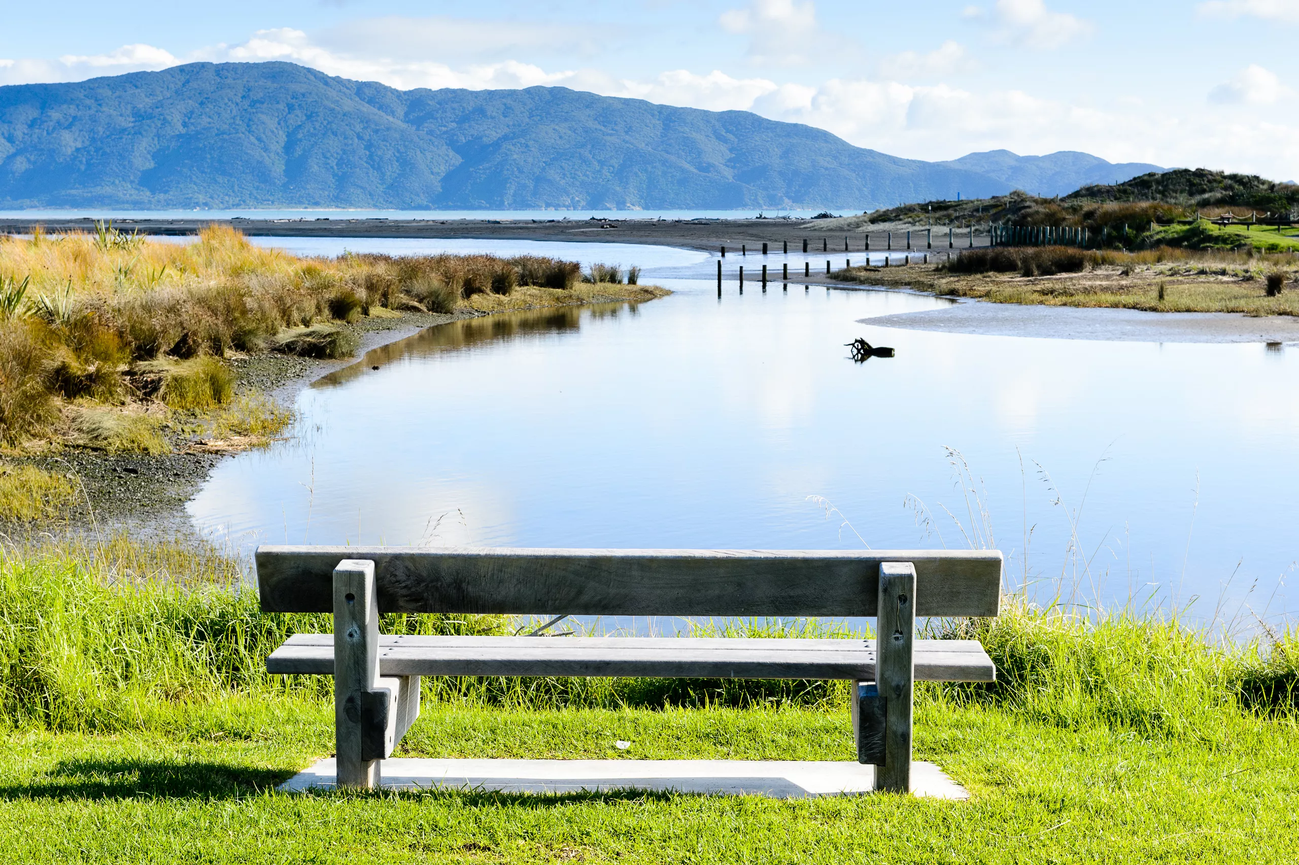 Estuary walkway with open sky and native reeds along the Kapiti Coast