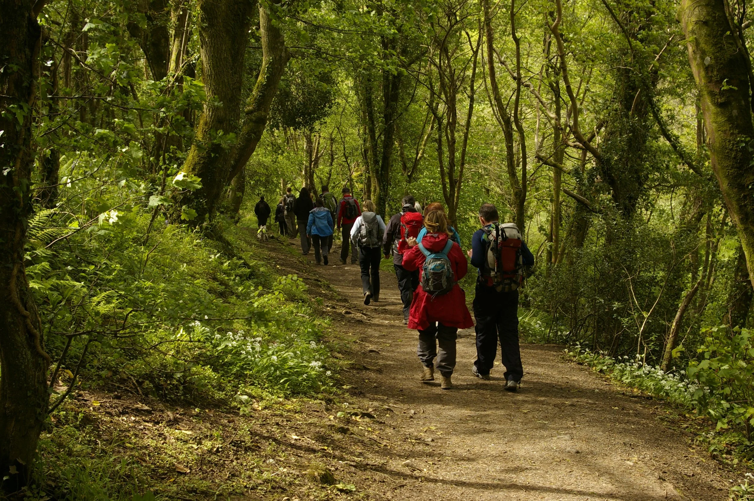 Small group participating in a guided outdoor walking session on a coastal path